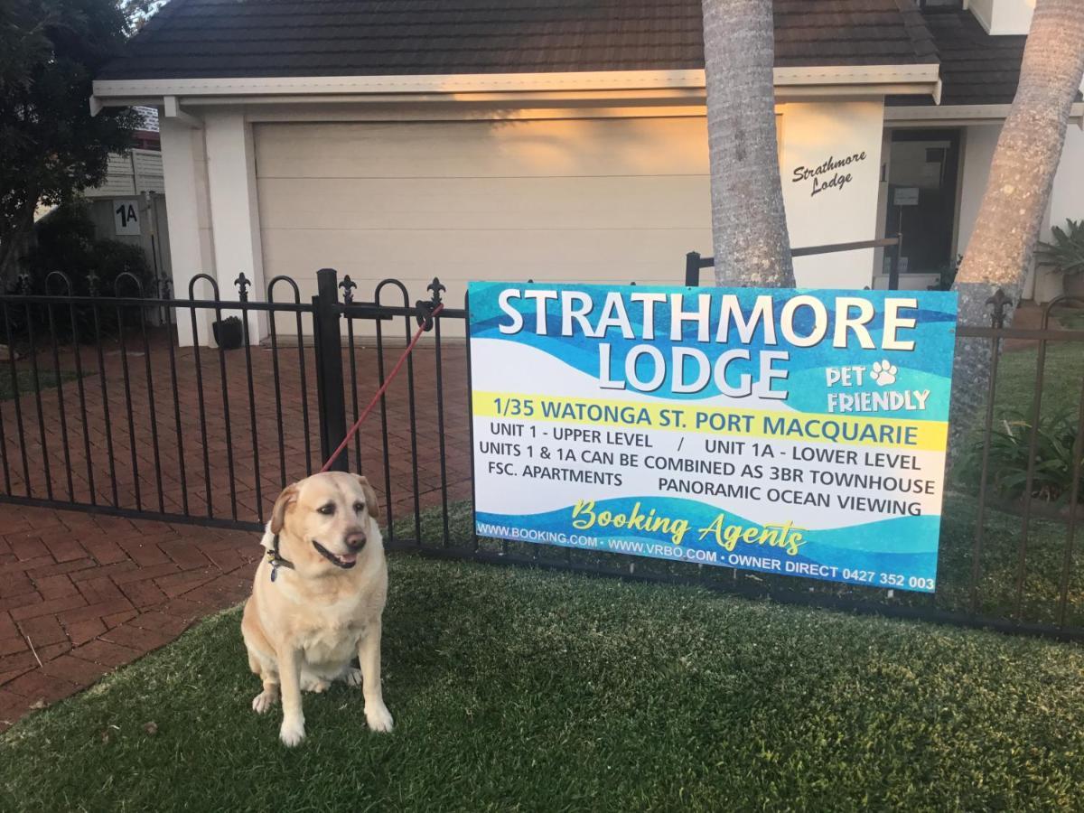 Strathmore Lodge Порт-Маккуори Экстерьер фото